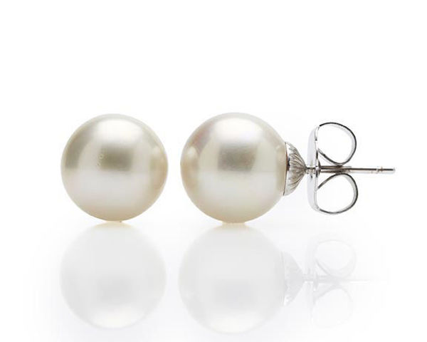Pearl Stud  - Champagne  | Firucci