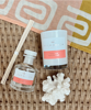 Summer Peach Mini Reed Diffuser | Palm Beach