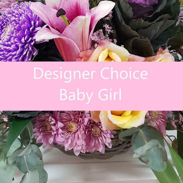 Picture of Designer Choice Baby Girl