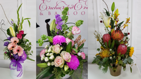 Picture for category Just Because