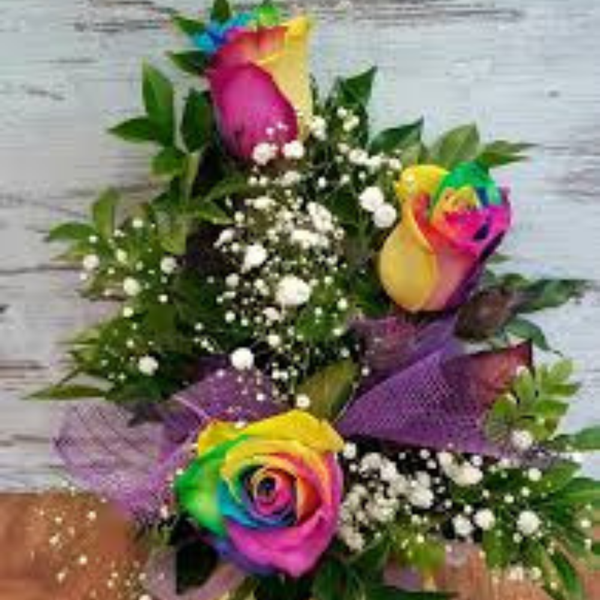 Touched by a Rainbow | Rainbow Roses