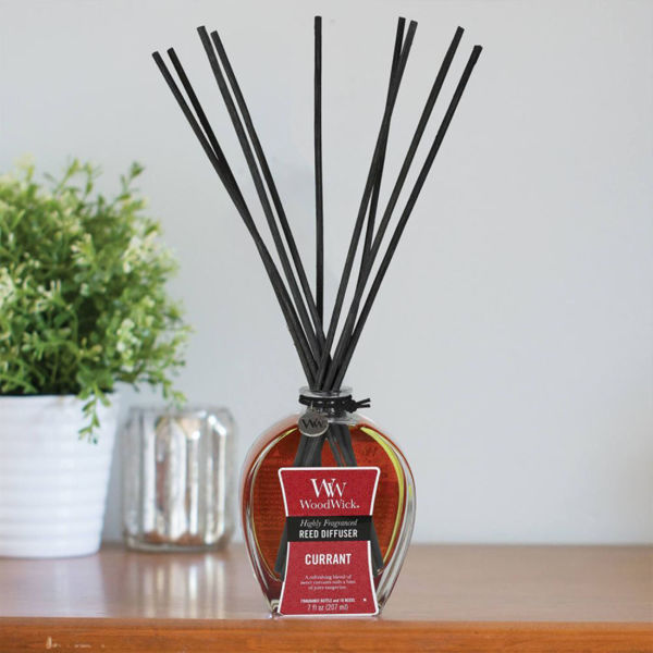 Currant Reed - Reed Diffuser | Woodwick