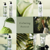 Calming Forest Hand Cream | Mood By MOR
