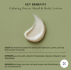 Calming Forest Hand & Body Lotion | Mood By MOR