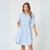 Skyler Stripe Shirt Dress - Pink White | Threadz