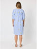 Spritz Embroidered Stripe Dress - Blue/White | Threadz